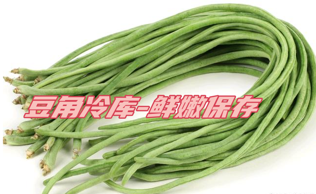 豆角工業(yè)冷庫：鮮嫩保存，一年四季供應(yīng)