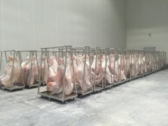 1000平牛肉冷藏庫造價多少錢，低溫凍肉冷庫建造